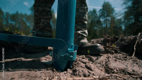 Wallpaper Mural Planting young pine trees. Growing forests, planting forests in forestry. Planting a forest using a special device. High quality 4k footage Torontodigital.ca