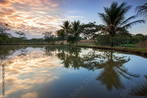 Sunrise  peace and silence at beautiful brazilian savannah