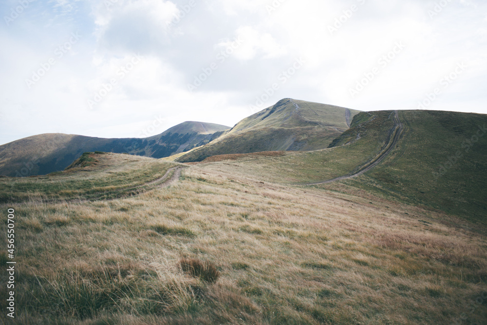 Obraz premium beautiful mountains. Ukrainian Carpathian Mountains