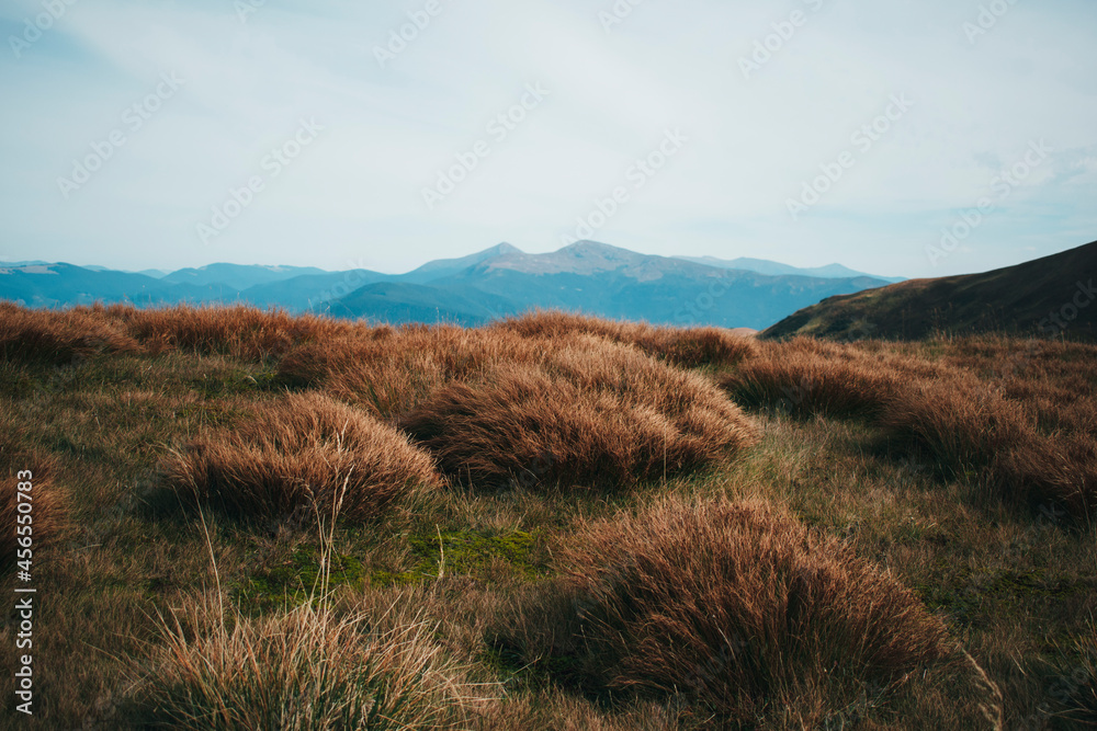 beautiful mountains. Ukrainian Carpathian Mountains beautiful mountains. Ukrainian Carpathian Mountains