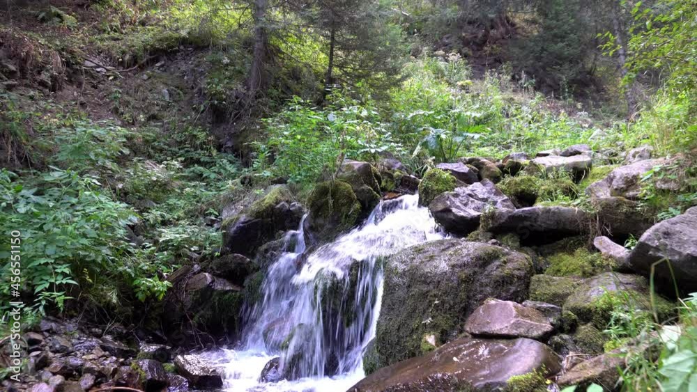 A small waterfall in a mountain forest. Green coniferous trees, grass, moss, fern. A cascade of clear, transparent water. The river runs into the gorge. Bear Gorge Ayusai, Almaty, Kazakhstan A small waterfall in a mountain forest. Green coniferous trees, grass, moss, fern. A cascade of clear, transparent water. The river runs into the gorge. Bear Gorge Ayusai, Almaty, Kazakhstan