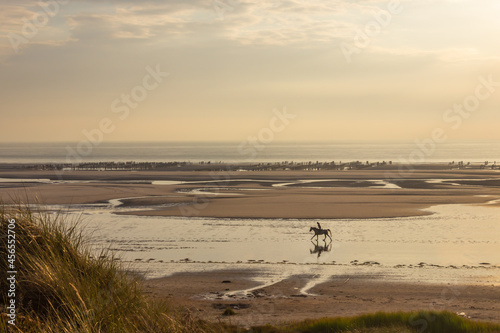 Reiter am Strand bei Dannes / Dunes du Mont Saint-Frieux / Frankreich / Nord Pas de Calais