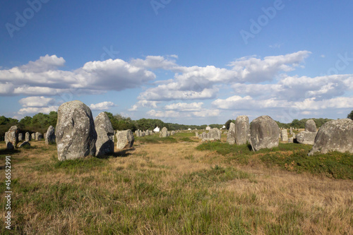 Steinfelder von Carnac / Bretagne / Frankreich