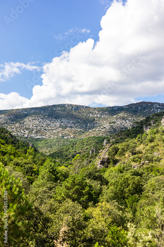 Paysage autour du sentier de randonnée des Fenestrettes à Saint-Guilhem-le-Désert (Occitanie, France) © Ldgfr Photos
