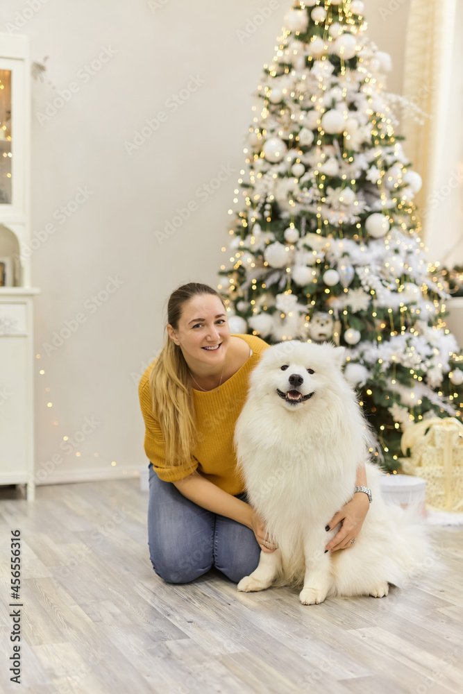 Portrait of young beautiful woman in orange sweater with purebred Samoyed dog