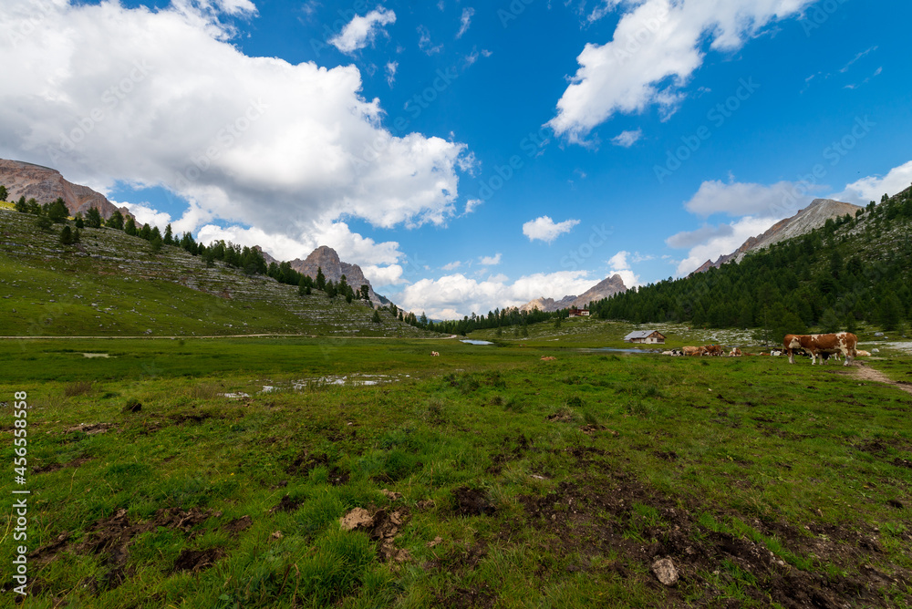 Obraz premium Quiet please