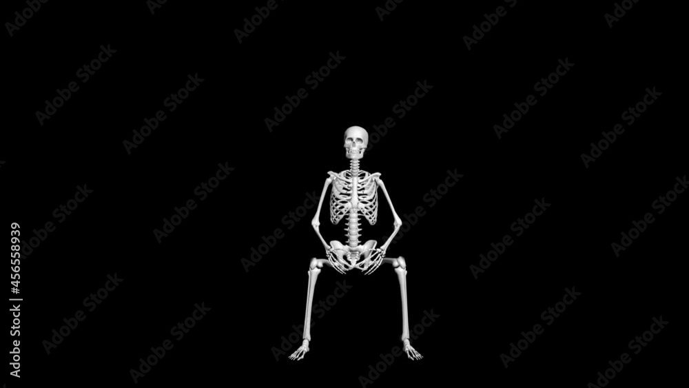 Skeleton animation while sitting. 3D animation of a skeleton. Skeleton emotions while sitting. Transparent background. Skeleton animation while sitting. 3D animation of a skeleton. Skeleton emotions while sitting. Transparent background.