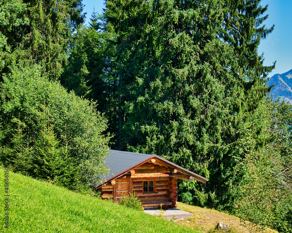 Alpen Allgäu Wiese Wald Blockhaus