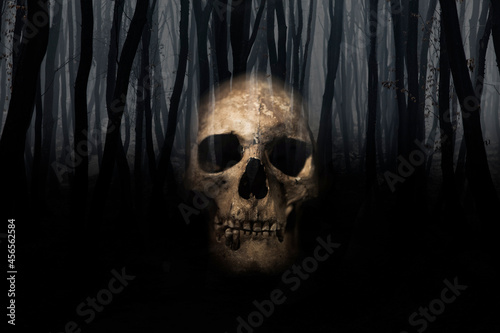 Horror Halloween image of haunted forest and skulls. 