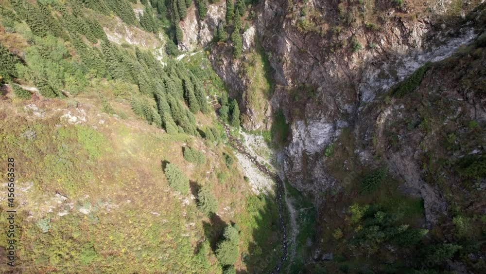 Coniferous green trees in the gorge with the river. The view from the drone. Steep cliffs covered with fir trees and green grasses. Small cascades of the river. Mountain trail. Ayusai Gorge, Almaty Coniferous green trees in the gorge with the river. The view from the drone. Steep cliffs covered with fir trees and green grasses. Small cascades of the river. Mountain trail. Ayusai Gorge, Almaty