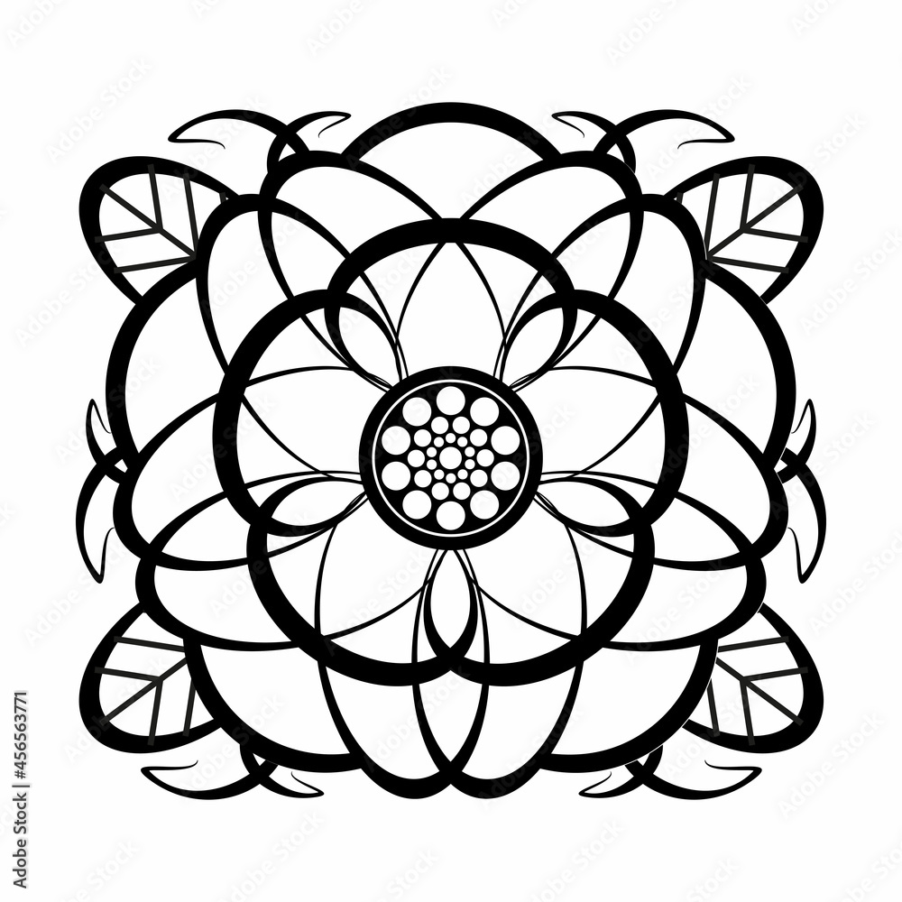 Fototapeta premium Botanical engraving, graphic image of flowers hand-drawn drawing. Black and white vector image isolated on white background. Graphical representation of plants.