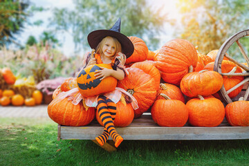 child girl als little cute witch with pumpkin outdoors in halloween