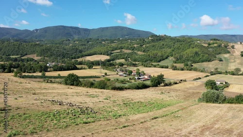 Shepherd graze flock of sheep on a mountain slope among picturesque nature. Aerial panoramic landscape. Beautiful Italy