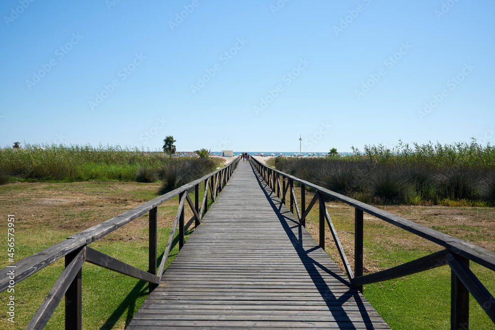 Wooden bridge surrounded by vegetation leading to the water