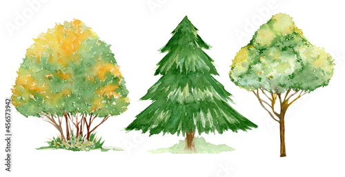 Trees and spruce, colorful leaves, watercolor set, trees, on an isolated background. photo