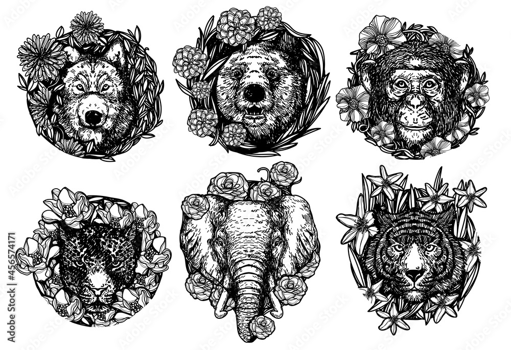 Obraz premium Wolf bear monkey tiger and elephant in flower hand drawing and sketch black and white