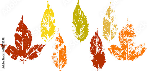 fallen autumn leaves vector set  stamps of natural leaves paint on paper.