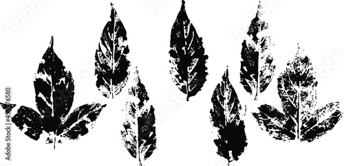 fallen autumn leaves vector set stamps of natural leaves paint on paper.