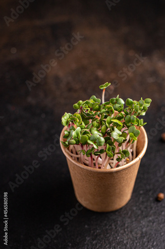 microgreen radish raw eating green petals fresh seedlings raw food fresh snack ready to eat meal on the table copy space food background rustic 