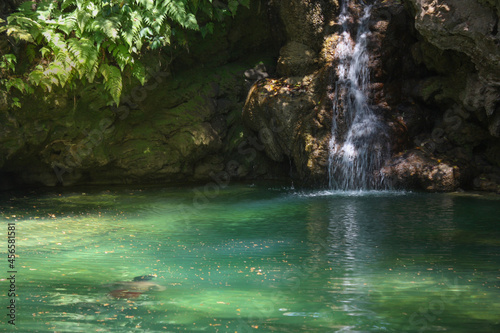 waterfall in the forest