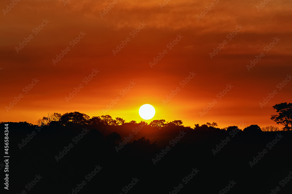 Por do Sol com céu alaranjado e silhueta das árvores da paisagem Por do Sol com céu alaranjado e silhueta das árvores da paisagem