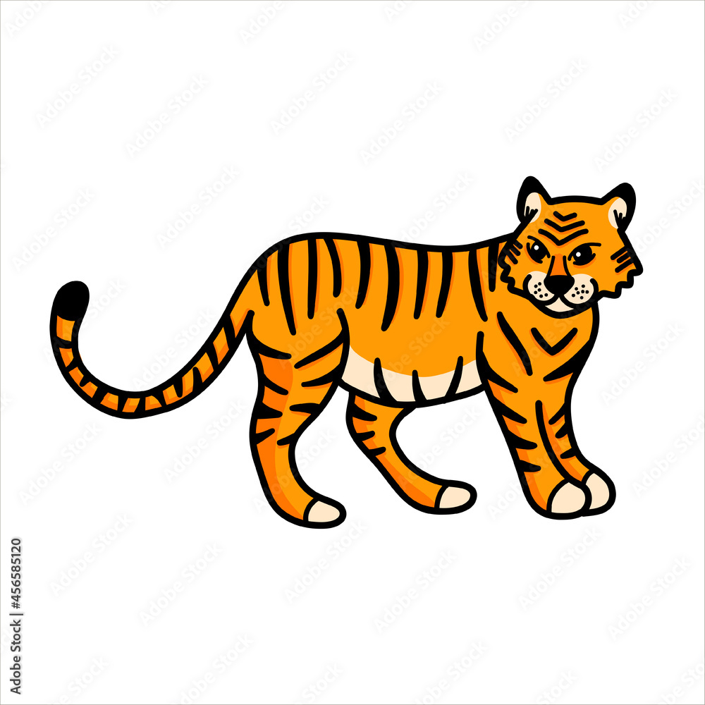 Vector illustration with a wild tiger in a cartoon style on a white background. Full-length tiger illustrations for T-shirts, postcards, posters, fabrics Vector illustration with a wild tiger in a cartoon style on a white background. Full-length tiger illustrations for T-shirts, postcards, posters, fabrics