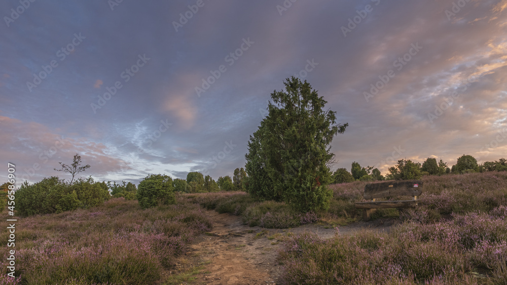 Lüneburger Heide