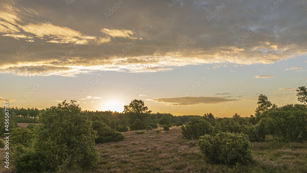 Lüneburger Heide