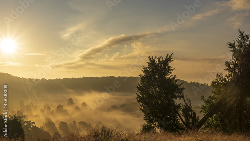 Lüneburger Heide photo