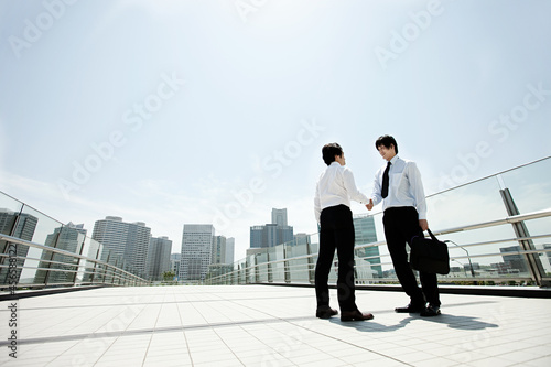 Canvas Print Two businessmen shaking hands