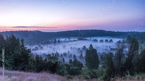 Lüneburger Heide
