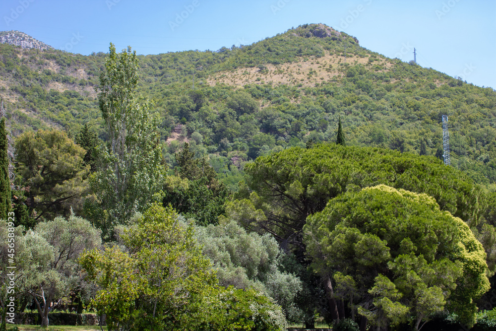 Lush green trees and plants on the mountain slopes. Landscape on the natural park. Mountains and blue sky on the background. Lush green trees and plants on the mountain slopes. Landscape on the natural park. Mountains and blue sky on the background.