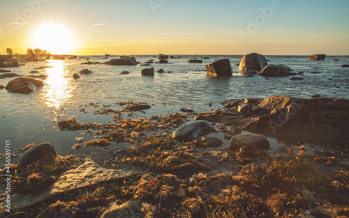 sunrise on the shore of the White Sea  with stones and seaweed at sunny morning Belomorsk, Karelia. Long exposure and tint image photo