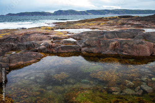 Fototapeta Naklejka Na Ścianę i Meble -  beach on the northern ocean is made of stones covered with colorful moss. Teriberka, Barents Sea, Murmansk region, Kola Peninsula
