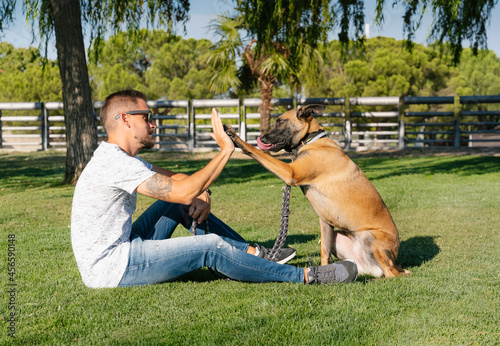 Man with Belgian Shepherd giving high five in park photo