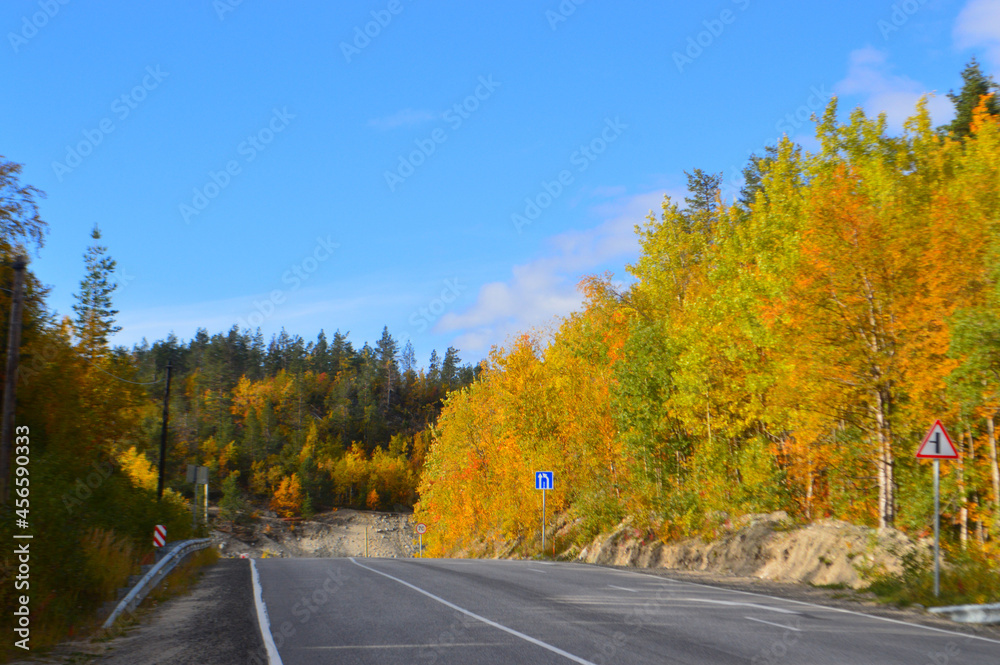 Fototapeta premium road in autumn