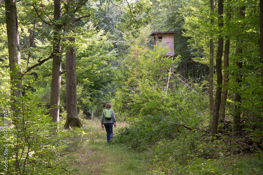 wanderer im wald wanderer im wald