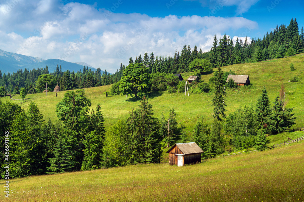 Beautiful mountainous rural landscape with a view of the old house and spruce of the Carpathian Ukraine