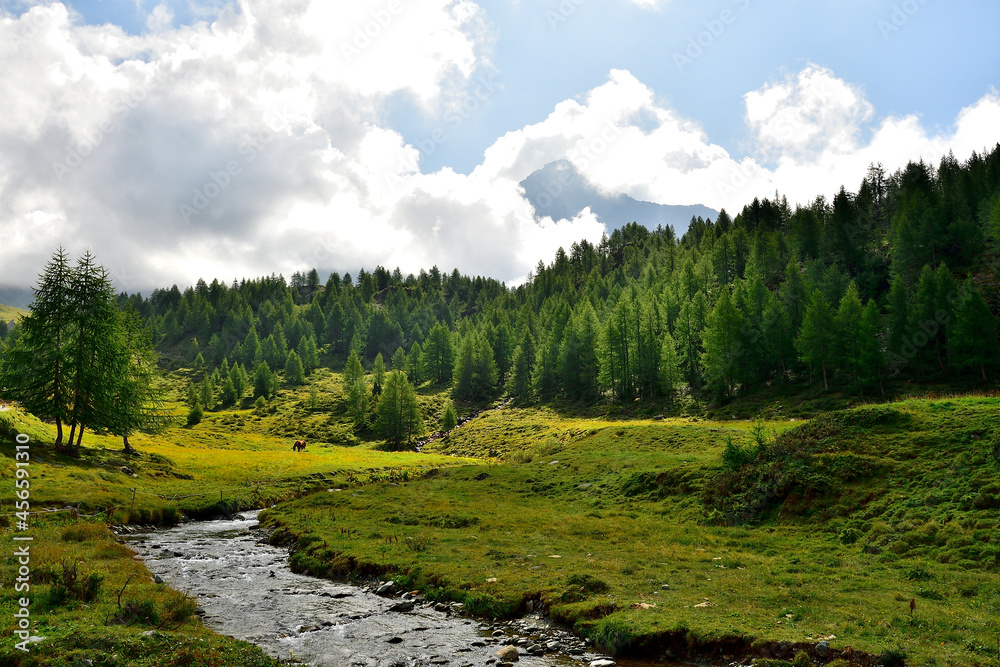 Pizzo Scalino dominate the Campagneda meadow Pizzo Scalino dominate the Campagneda meadow