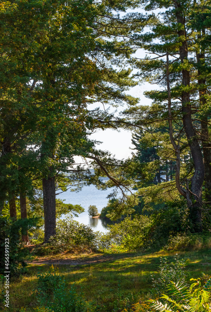 Fototapeta premium a view of the wachusett through the woods