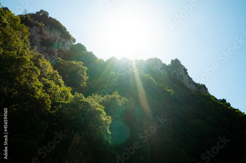  Sun shines through mountain and trees. Beautiful background, nature, summer time. © kohanova1991