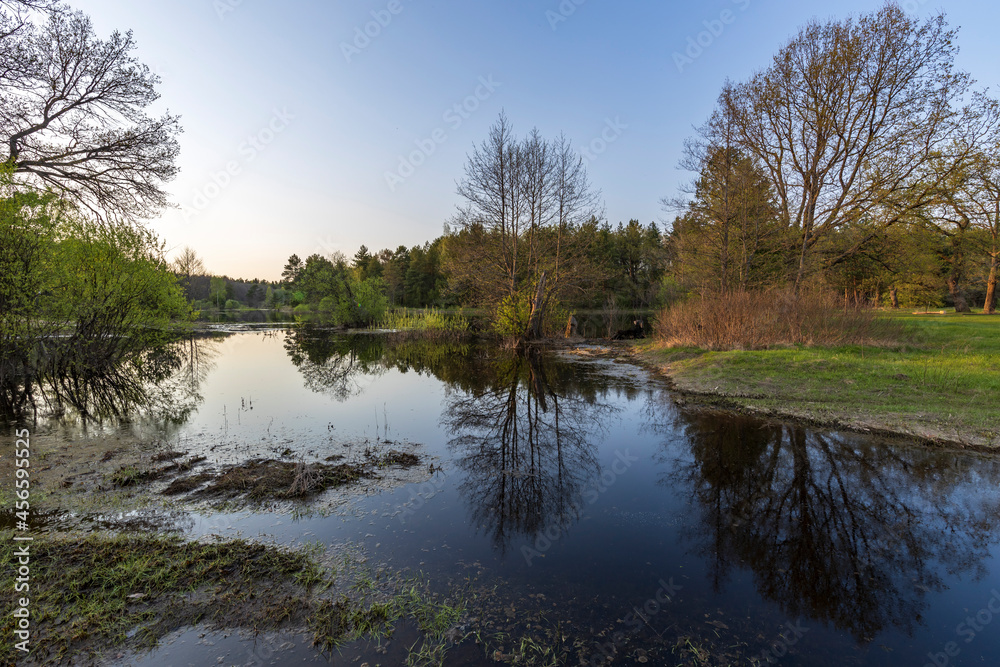 The river floods in early spring. Picturesque landscape spring evening. Sunbeams at sunset. Reflection of trees in the water.