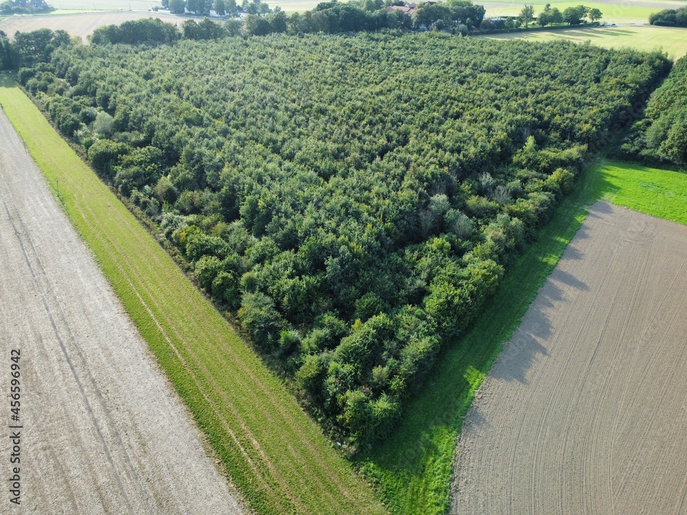 Naklejka premium Impressive aerial image of fields and trees