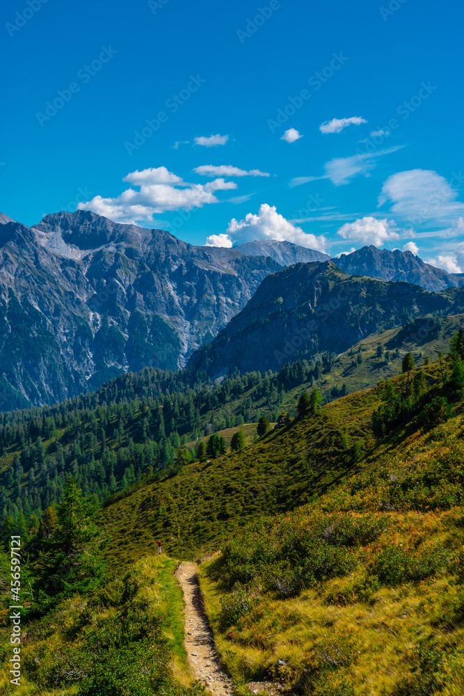 landscape in the summer