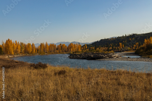 North Fork Flathead River and colorful Fall foliage, Glacier National Park, Montana, USA photo