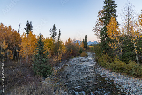 North Fork Flathead River and colorful Fall foliage, Glacier National Park, Montana, USA photo
