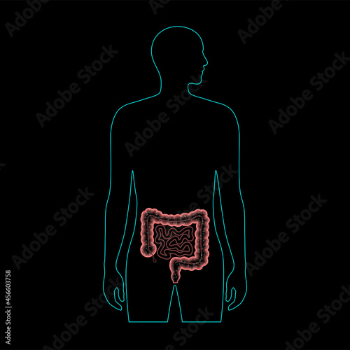 Gut microbiome concept