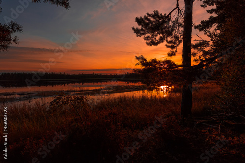 Sunset in the Kemeri National Park, Latvia