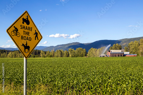 Photos Share The Road Yellow Road Sign