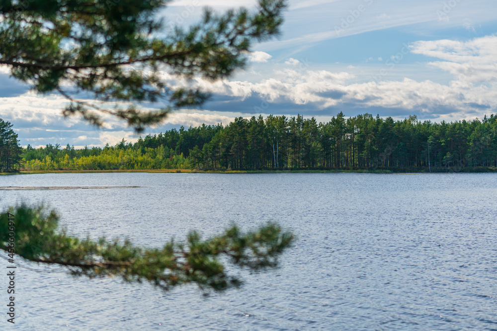 Lake in the Kemeri National Park, Latvia